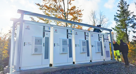 215Kwh Container Solar Lithium Batteries for High Voltage Energy Storage in Industry and Commercial Applications
